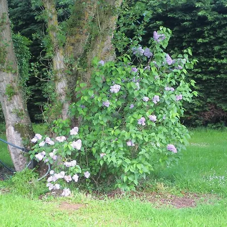 Les Mobile De Kerroyal Camping Garlan